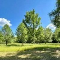 165 Acres in Attala County in Goodman MS images 5