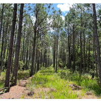 Screenshot 2024-07-28 160811