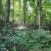Jennings County 2.4 acre Hideaway images 2