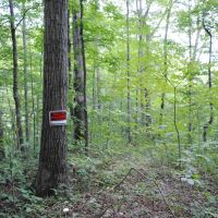 Jennings County 2.4 acre Hideaway images 5