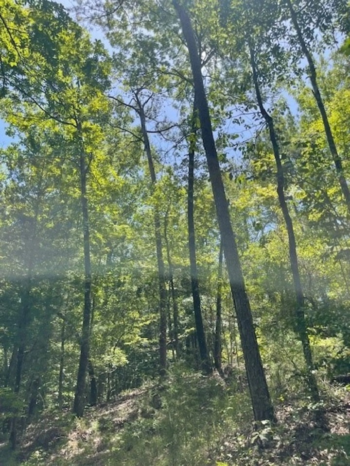 10 Acres in Bakerhill AL featured image