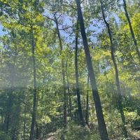 10 Acres in Bakerhill AL