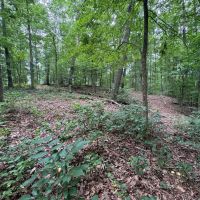 10.15 Acres in Whitfield County Georgia images 3