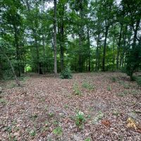 10.15 Acres in Whitfield County Georgia images 4