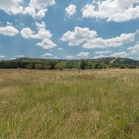 Copperas Cove development potential