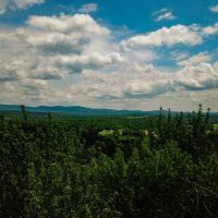 1730 Sinclair Rd - Johnson images 5