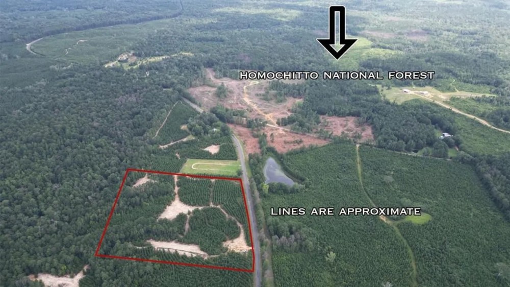Small Hunting Property Near Homochitto National Forest featured image