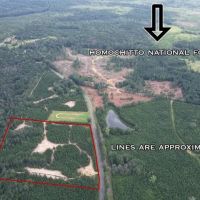Small Hunting Property Near Homochitto National Forest images 1