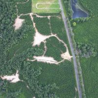 Small Hunting Property Near Homochitto National Forest images 4