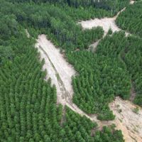 Small Hunting Property Near Homochitto National Forest images 5