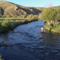Trout Garden on Tomichi Creek