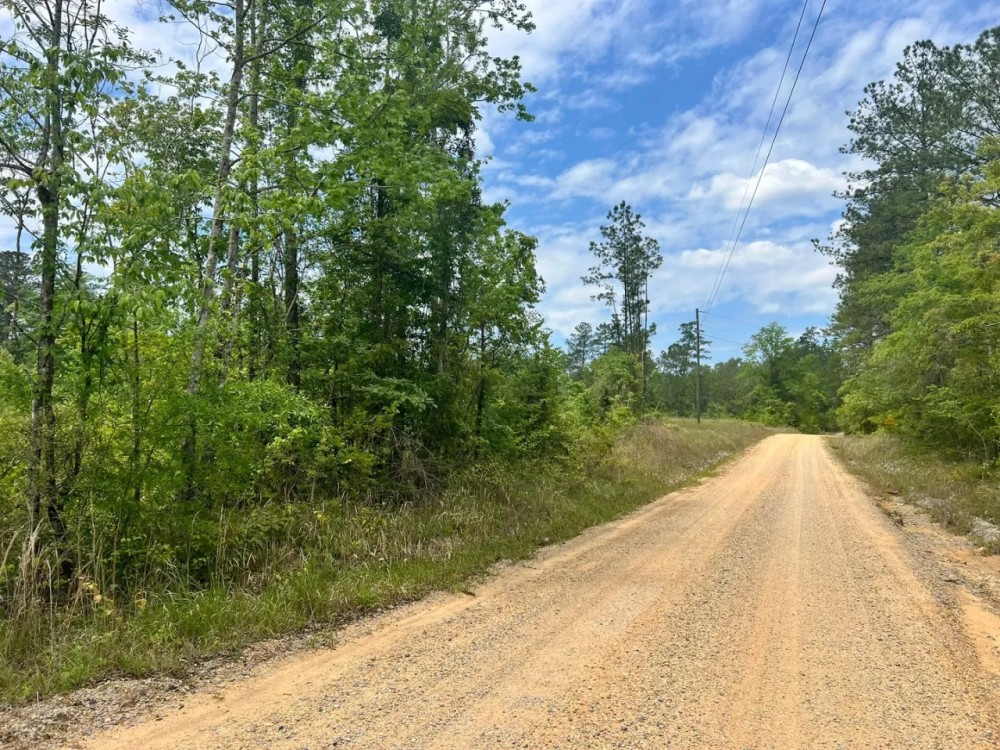 12 Acres in Waynesboro in Wayne County MS featured image