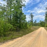 12 Acres in Waynesboro in Wayne County MS