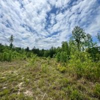 12 Acres in Waynesboro in Wayne County MS images 3