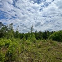 12 Acres in Waynesboro in Wayne County MS images 4