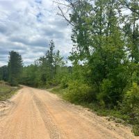 12 Acres in Waynesboro in Wayne County MS images 5