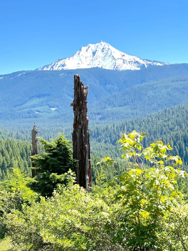 High Cascade Mountain Dream featured image