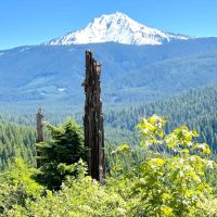 High Cascade Mountain Dream
