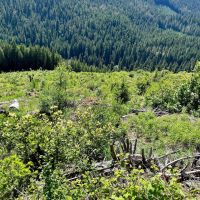High Cascade Mountain Dream images 2
