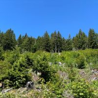 High Cascade Mountain Dream images 3