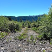 High Cascade Mountain Dream images 4