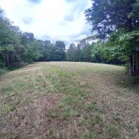 63 Acres Mostly Wooded Hunting Ground with Hidden Cave. images 2