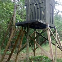63 Acres Mostly Wooded Hunting Ground with Hidden Cave. images 3