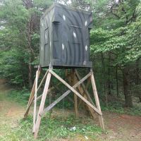 63 Acres Mostly Wooded Hunting Ground with Hidden Cave. images 4