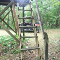 63 Acres Mostly Wooded Hunting Ground with Hidden Cave. images 5