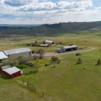 Noon Bear Ranch images 3