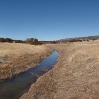 Wagon Mound WMA - 850 acres for hunting Duck in Mora, NM