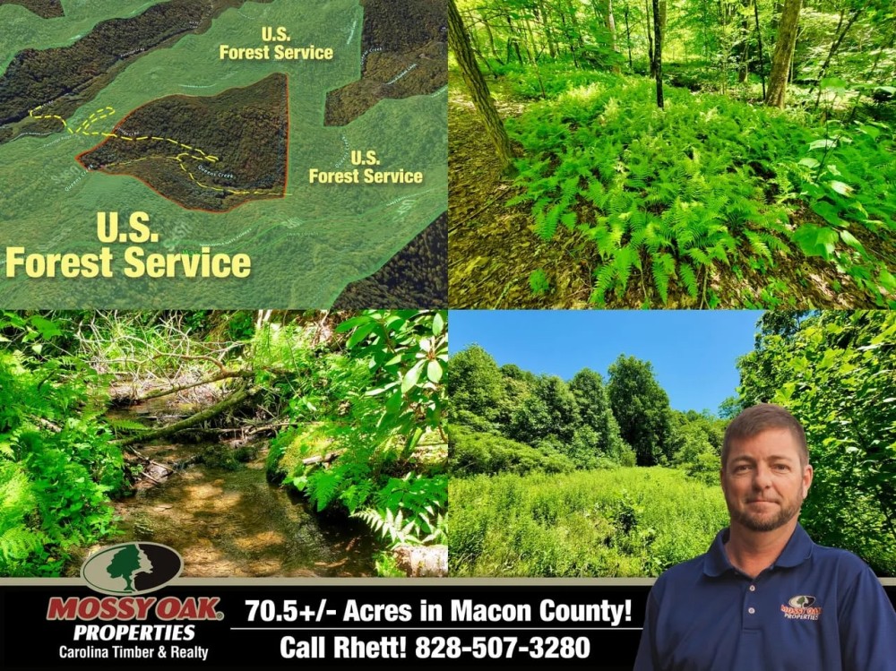 70.52 - Unrestricted Acre Nearly Surrounded by U.S. Forest Service featured image