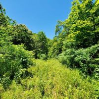 70.52 - Unrestricted Acre Nearly Surrounded by U.S. Forest Service images 5