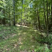 14 acre Building Lot and Recreational Land in Big Flats NY Monastery Rd