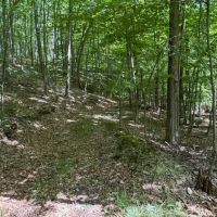 14 acre Building Lot and Recreational Land in Big Flats NY Monastery Rd images 5
