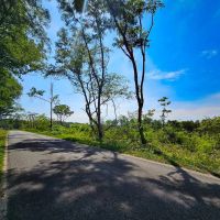 86.955 acres of Recreational Land For Sale in King George County VA images 3