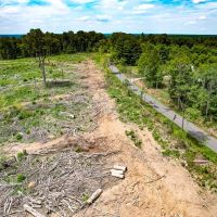 86.955 acres of Recreational Land For Sale in King George County VA images 4