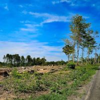86.955 acres of Recreational Land For Sale in King George County VA images 5
