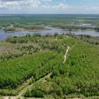 ONLINE AUCTION - 10.38 acres of Waterfront Land for Sale in Hyde County NC images 3