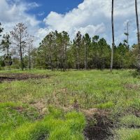 ONLINE AUCTION - 10.38 acres of Waterfront Land for Sale in Hyde County NC images 4