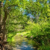 Lamkin Ranch images 5