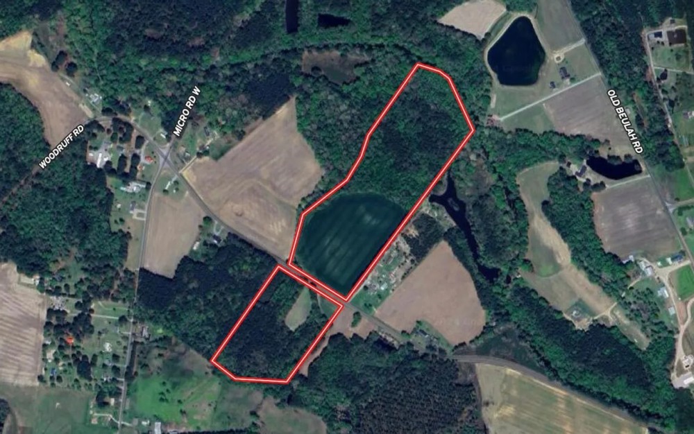 42 acres of Farm and Hunting Land for Sale in Johnston County NC featured image