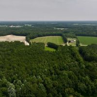 42 acres of Farm and Hunting Land for Sale in Johnston County NC images 3