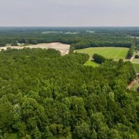 42 acres of Farm and Hunting Land for Sale in Johnston County NC images 4
