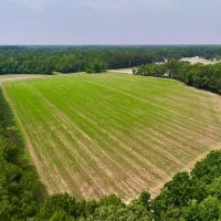 42 acres of Farm and Hunting Land for Sale in Johnston County NC images 5