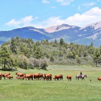 North Star Ranch Colorado