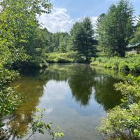 41 acre Wood Country Acreage Near State Land Pitcairn NY images 2