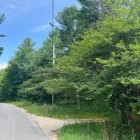 41 acre Wood Country Acreage Near State Land Pitcairn NY images 3