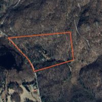 41 acre Wood Country Acreage Near State Land Pitcairn NY images 5