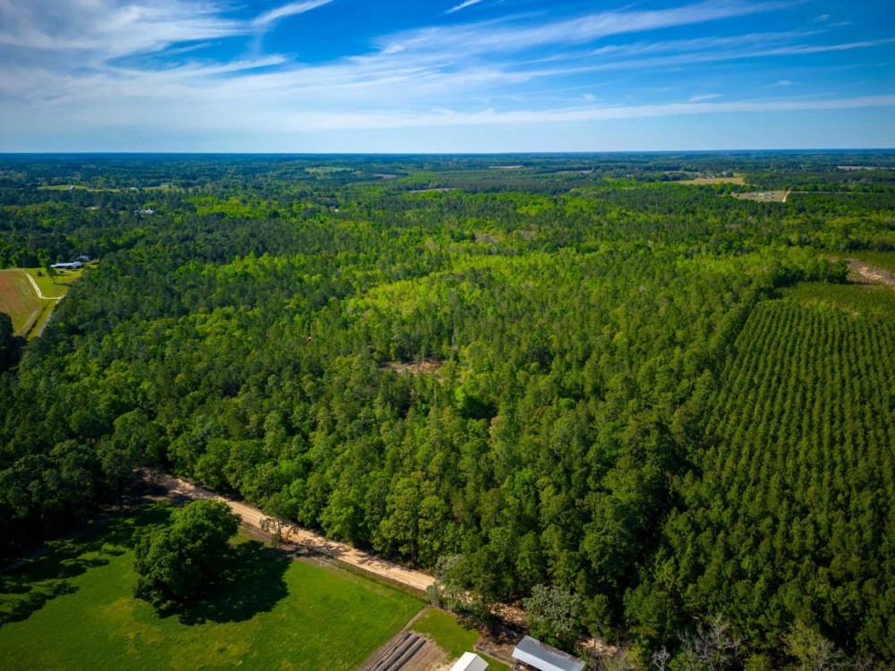 140.00 Acres - Tract 2 - Red Hill Retreat featured image